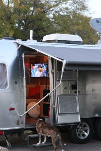 Doris calls it a day