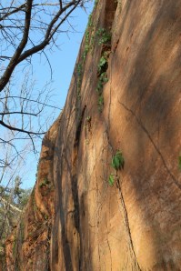 repelling opportunity