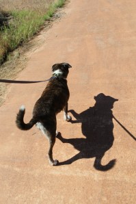 Doris shadow dancing