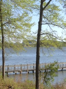 View from bedroom window