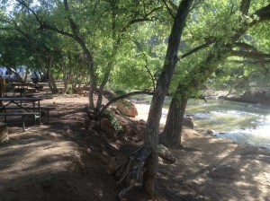 The Virgin Riverr at our campsite at Zion