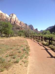 A pleasant path at Zion 