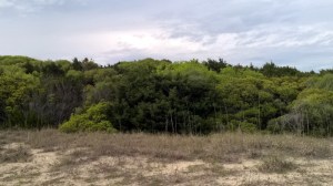 WP_20150417_18_22_28_Pro