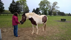 WP_20150425_12_56_32_Pro