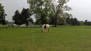 WP_20150425_12_57_18_Pro