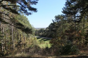 Twentymile Bottom Ovelook